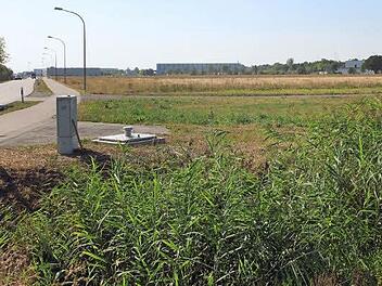 Dieses Gelände am Kibitzengraben im Gewerbegebiet Aischpark gilt als Bodendenkmal und wird vor der Bebauung archäologisch untersucht.  Foto: Andreas Dorsch