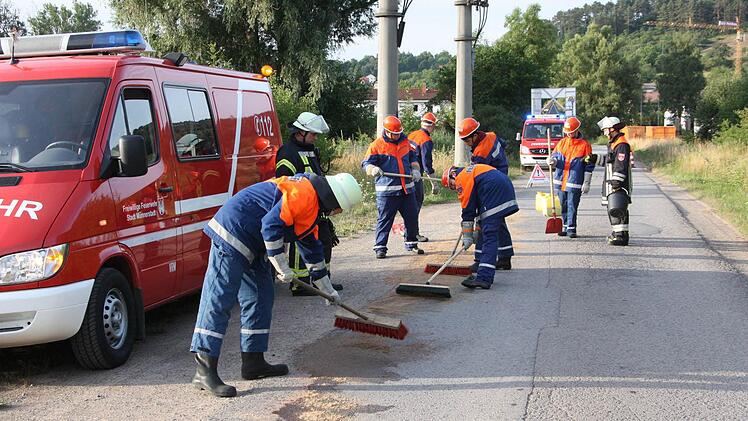 Berufsfeuerwehrtag in Münnerstadt.Foto: Arnold Nöth
