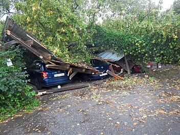 Im Wildbad in Haßfurt stürzte bei dem Sturm Mortimer ein Baum um und zerstörte ein Carport, in dem drei Autos untergestellt waren.