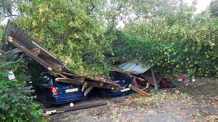 Im Wildbad in Haßfurt stürzte bei dem Sturm Mortimer ein Baum um und zerstörte ein Carport, in dem drei Autos untergestellt waren.