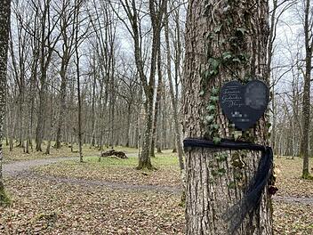 Der Naturfriedhof in Nüdlingen ist wunderschön. Was teilweise an den Bäumen hängt, gefällt nicht jedem. Foto: Charlotte Wittnebel-Schmitz