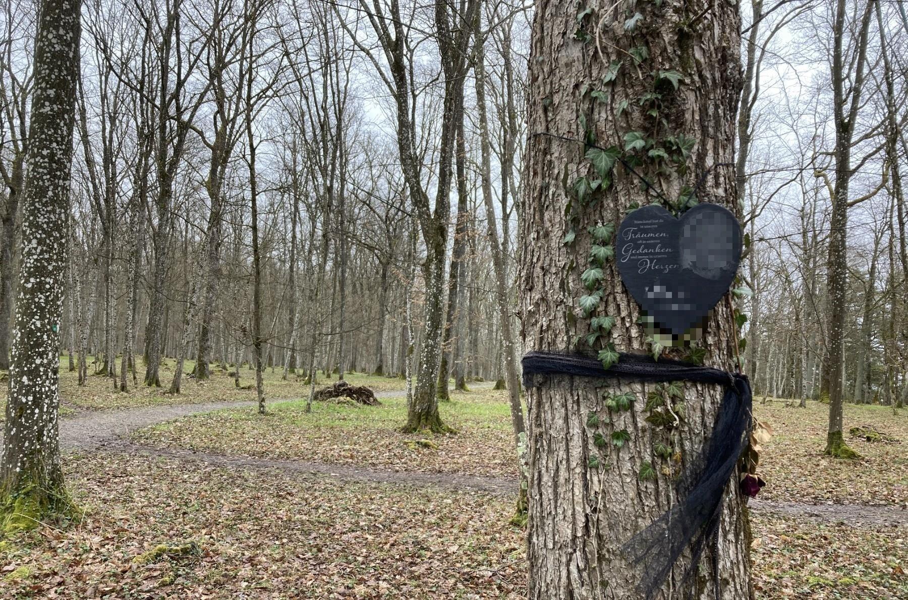 Nüdlingen: Ärger um Naturfriedhof