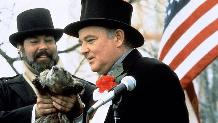 Die ganze Aufregung dreht sich um ihn: Murmeltier Phil sagt angeblich das Wetter voraus.