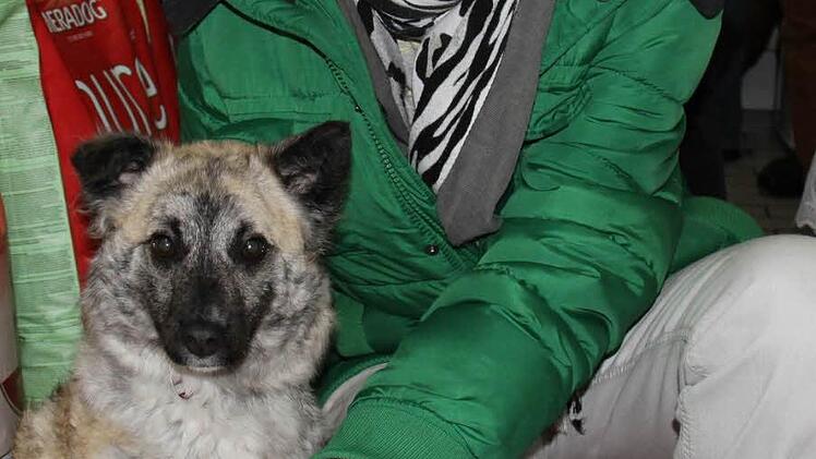 Gabriele Funk hat Mischling Viola an Ostern aus dem Tierheim zu sich nach Hause geholt.