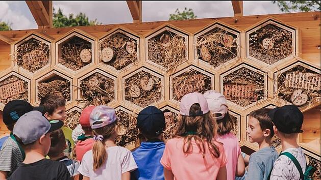 Insektenhotels bieten sehr vielen Tieren einen Lebensraum. Der Aufbau war für die Kinder ein Erlebnis.