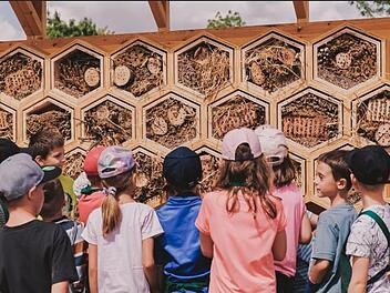 Insektenhotels bieten sehr vielen Tieren einen Lebensraum. Der Aufbau war für die Kinder ein Erlebnis.