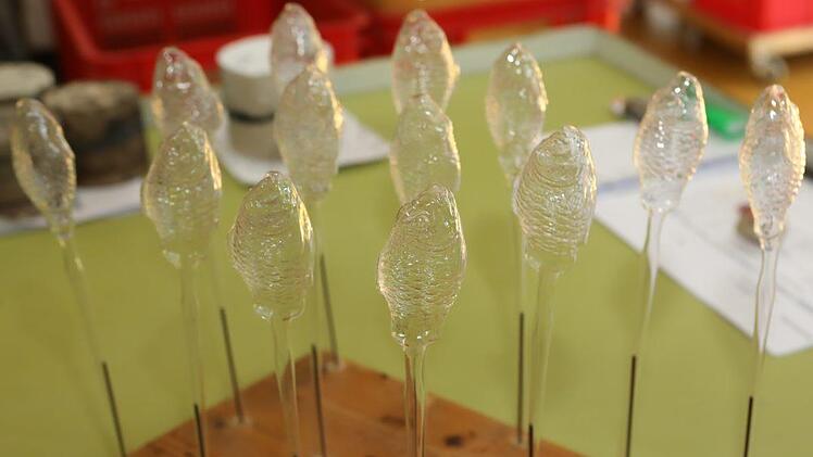 Foto: Barbara Herbst