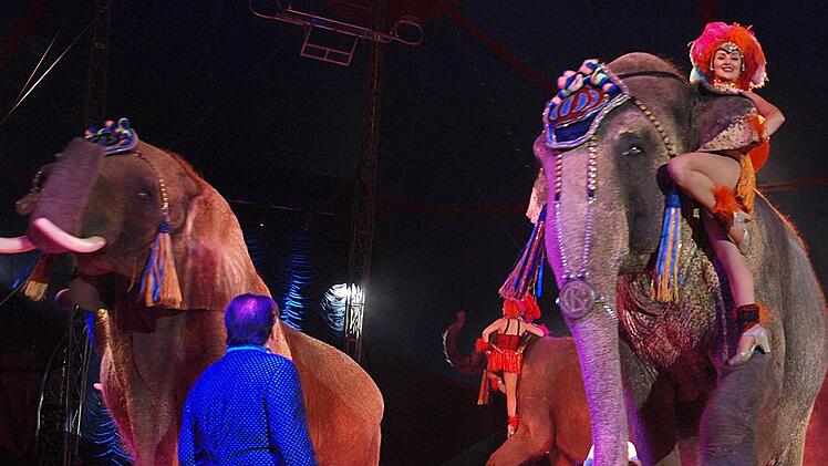 2016 gastierte Circus Krone letztmals in Coburg. Foto: CT-Archiv / Christoph Winter