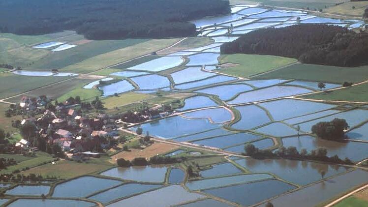 Auch malerische Weiherlandschaften wie hier bei Oberlindach will Aischgrund TV ins rechte Licht setzen. Foto: Gerhard Launer