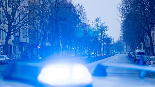 Kreis Kulmbach: Hund rennt auf Bundesstra&szlig;e: Es kommt zum Unfall