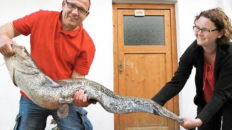 Joachim Bauer und seine Frau Stefanie müssen sich anstrengen, um den Waller zu halten.  Foto: Erlwein
