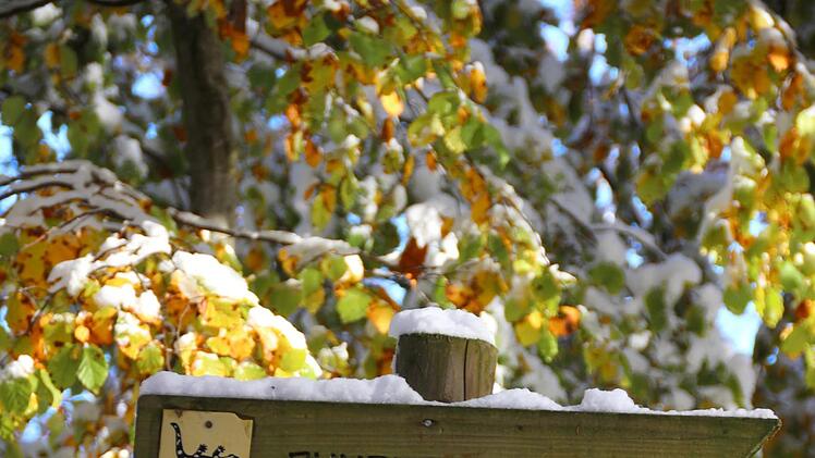 Winterbilder aus den Haßbergen
