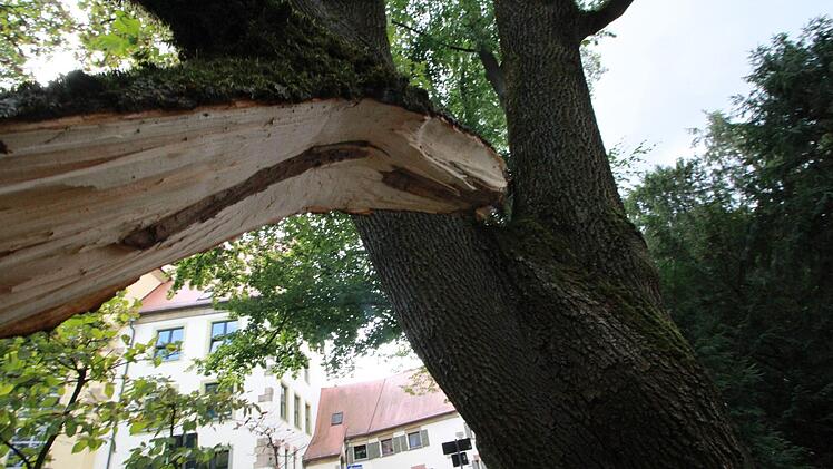 Das Sturmtief Fabienne wütete auch in Forchheim.  J. Hofbauer