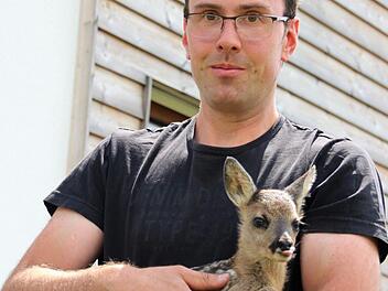 Es scheint, als gefalle Brösl die erhabene Position auf Stefan Bittners Arm. Jedenfalls streckt sie der Fotografin keck die Zunge entgegen.