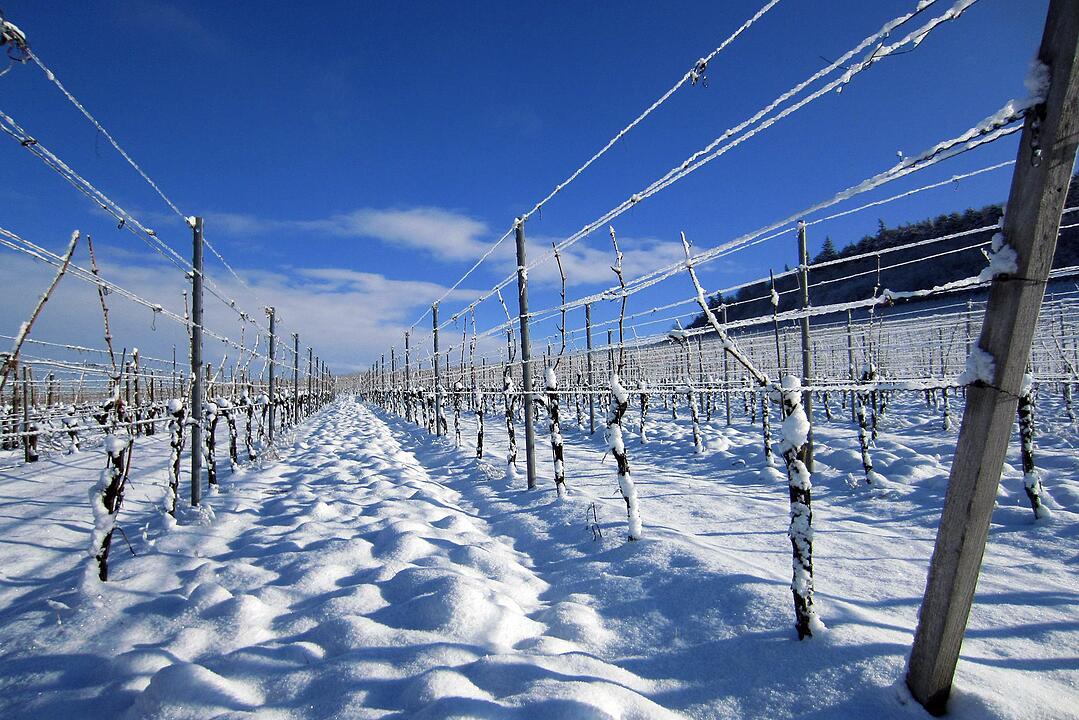 Fotos Konrad Thomann