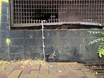 Filmreife Flucht aus bayerischem Knast - Häftling seilt sich mit Bettlaken ab Filmreife Flucht aus bayerischem Knast - Häftling seilt sich mit Bettlaken ab