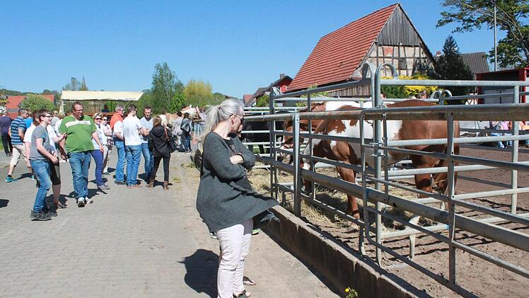 Foto: Anette Schreiber