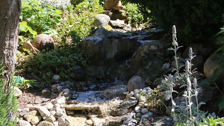 Blick in den Garten von Rainer und Rosi Gilke. Foto: Jürgen Gärtner