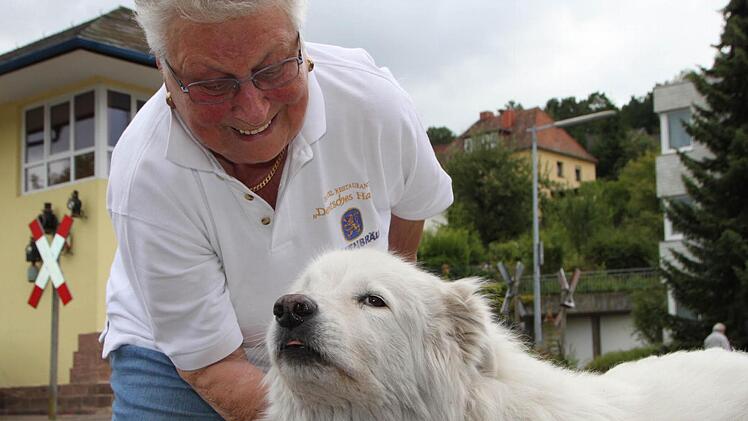 Anneliese König vom Deutschen Haus in Bad Brückenau liebt ihren Hund - er gehört zum Haus einfach mit dazu. Foto: Ulrike Müller