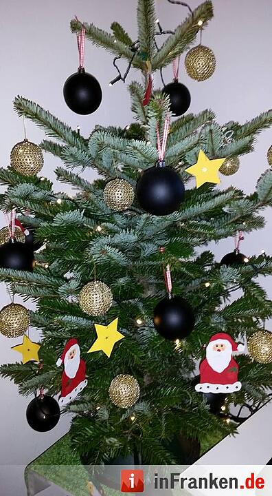 Weihnachten in Franken: Die Christbäume unserer Leser
