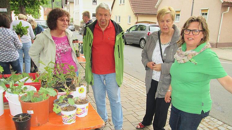 Foto: Winfried Ehling