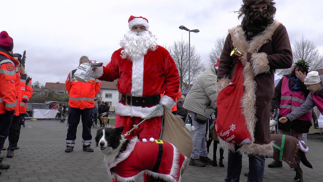 Hunde im Weihnachtskostüm: tierischer Weihnachtsmarkt in Haßfurt lockt hunderte Besucher