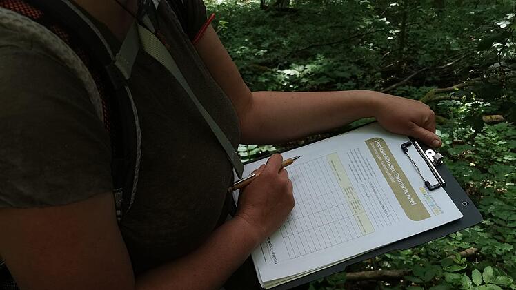 Eine Naturpark-Rangerin  notiert Daten. Foto:  Melanie Chist&eacute;