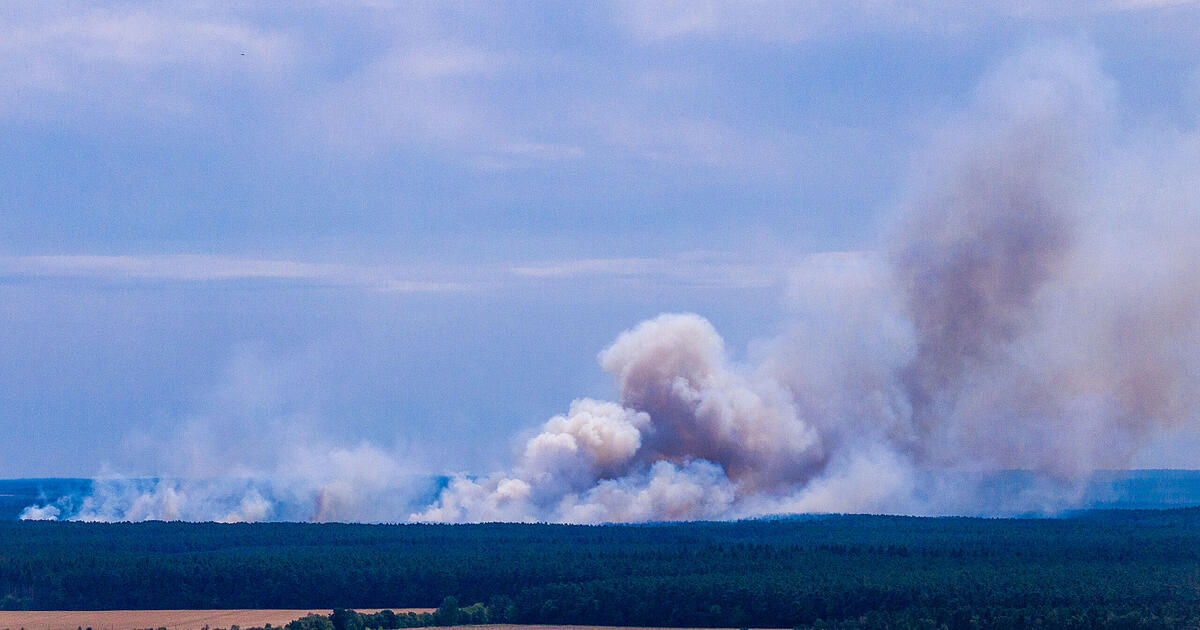Major fire rages in national park: Franconian fire brigades provide ...