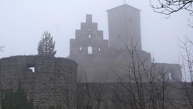 Die Trimburg ist zum Teil nur &uuml;ber schlechte Wege erreichbar. Foto: Archiv/Winfried Ehling
