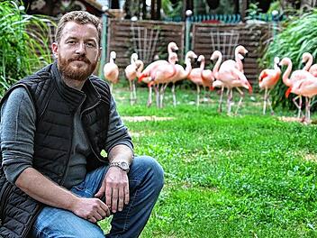 Diebst&auml;hle aus Freizeitparks