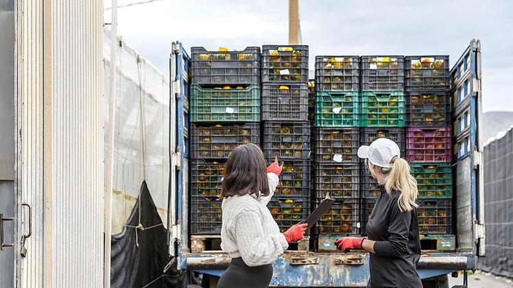 Viele Ehrenamtliche beteiligen sich in Deutschland an sogenannten "Tafeln", wo Lebensmittel an Bed&uuml;rftige verteilt werden.