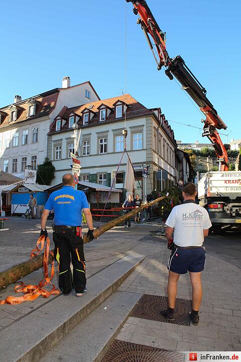 Bereits am Donnerstagmorgen wurde der Kerwabaum der Sandkerwa 2016 aufgestellt