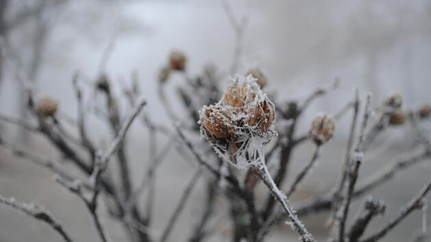 Es wird wieder frostig in Franken. Ab Donnerstag kommt eine Kaltfront auf uns zu, welche auch das kommende Wochenende beeinflusst