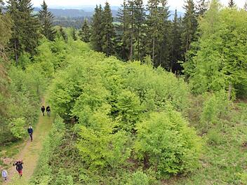 Vor allem für Wanderfreunde bietet der Naturpark reichlich Möglichkeiten. Foto: Lisa Kieslinger