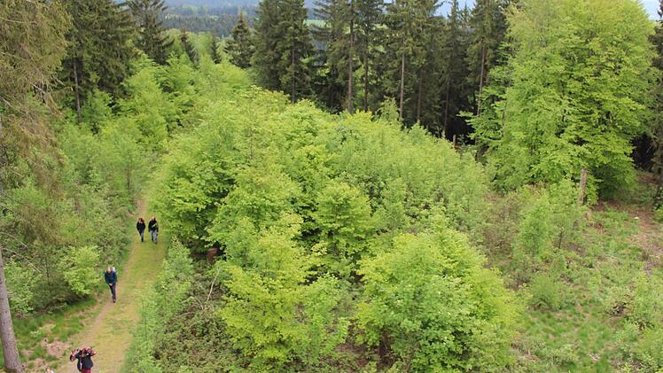 Vor allem für Wanderfreunde bietet der Naturpark reichlich Möglichkeiten. Foto: Lisa Kieslinger