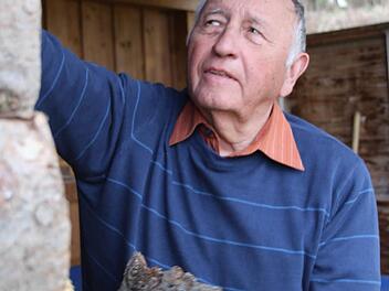 Brennholz machen, Garten herrichten, Clubspiele besuchen - Bürgermeister a. D. Heinz Burges genießt die neuen Freiheiten. Foto: Matthias Beetz