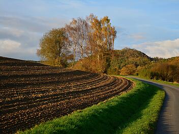 Acker, Feld. Foto: congerdesign / Pixabay