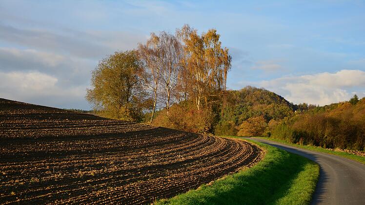 Acker, Feld. Foto: congerdesign / Pixabay