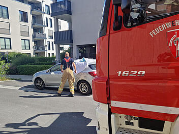 Bamberg: Feuerwehreinsatz wegen eingesperrtem Kleinkind auf Erba-Insel - Nachbarn reagieren "geistesgegenwärtig"