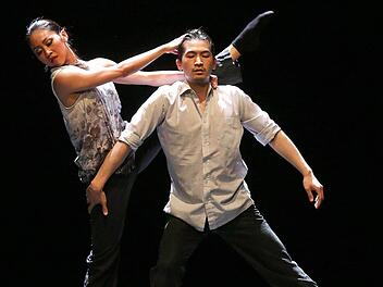 Ob "Dornröschen" glücklich klassisch oder in moderner Intensität des Tanzes wie hier mit Chih-Lin Chan und Takashi Yamamoto, das Coburger Ballett faszinierte bei dieser Gala in jeder Beziehung. Foto: Henning Rosenbusch