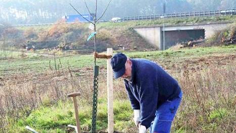 Die Pflanzer gingen fleißig zu Werke.