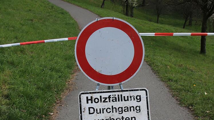 Am Herzogsweg in Coburg musste eine Reihe von Bäume gefällt werden. Auslöser war die extreme Trockenheit der letzten Jahre.Foto: Jochen Berger