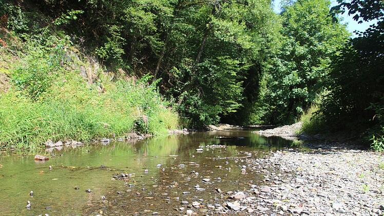 Durch den niedrigen Wasserstand ragen die Steine im Flussbett stellenweise bereits aus dem Wasser. Cindy Dötschel