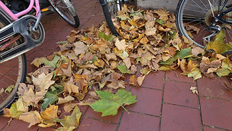 Foto: Barbara Herbst