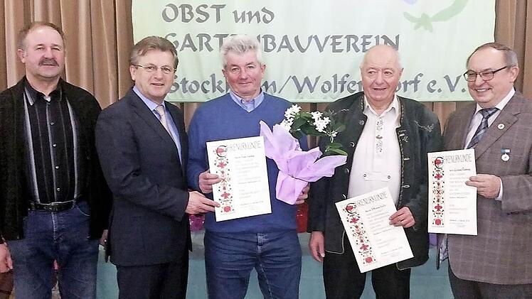 Die neuen Ehrenmitglieder des Obst- und Gartenbauvereins Stockheim-Wolfersdorf: (von rechts) Gerhard Ramming, Ottomar Lutz und Hansi Ludwig. Mit im Bild Bürgermeister Rainer Detsch (Zweiter von links) und Kreisvorsitzender Fritz Pohl Fotos: Leonhard Kürzinger