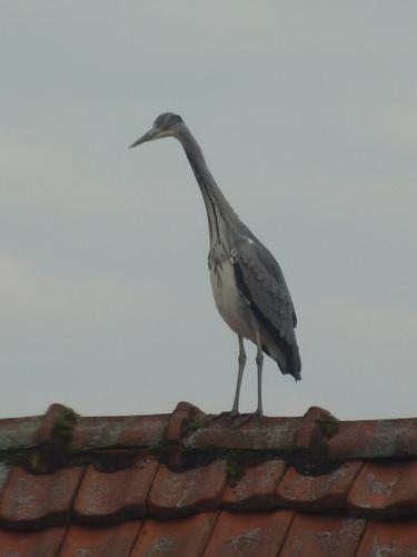 Sp&auml;therbst Teil 2