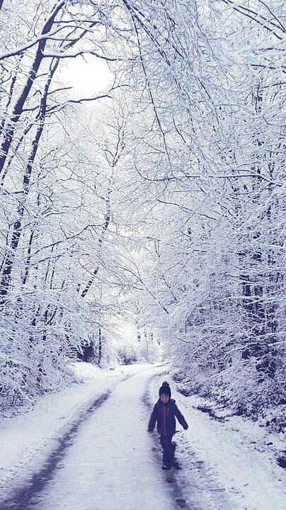 Schnee und Eis - Die schönsten Aufnahmen aus Franken