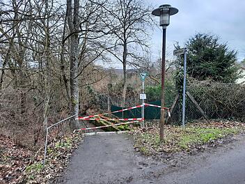 Würzburg: Annaschlucht teilweise für die Öffentlichkeit gesperrt - diese Bereiche sind betroffen