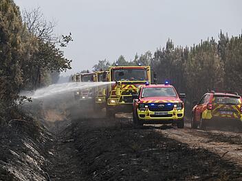 Waldbr&auml;nde in Frankreich