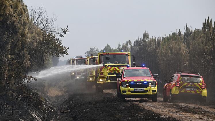 Waldbr&auml;nde in Frankreich